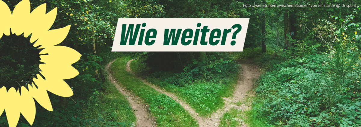 Wie weiter? (Foto „Zwei Straßen zwischen Bäumen“ von Jens Lelie @ Unsplash)